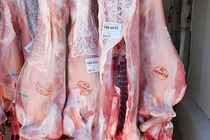 Producteur de viande caprine Provence-Alpes-Côte d'Azur