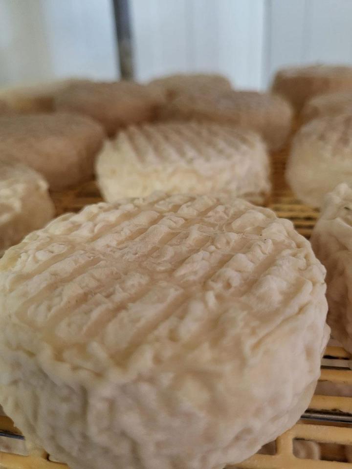 Un délice régional : fromage de chèvre de Provence-Alpes-Côte d'Azur