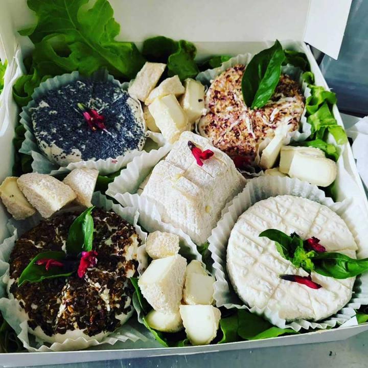 Dégustez les fromages de chèvre traditionnel de Provence-Alpes-Côte d'Azur