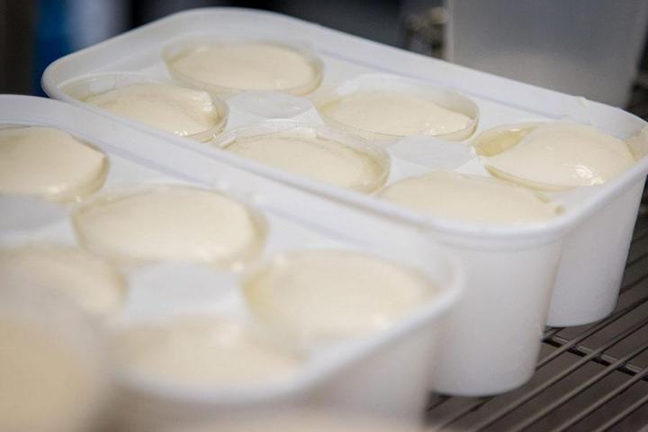 Fromage de chèvre bio provenant de Provence-Alpes-Côte d'Azur