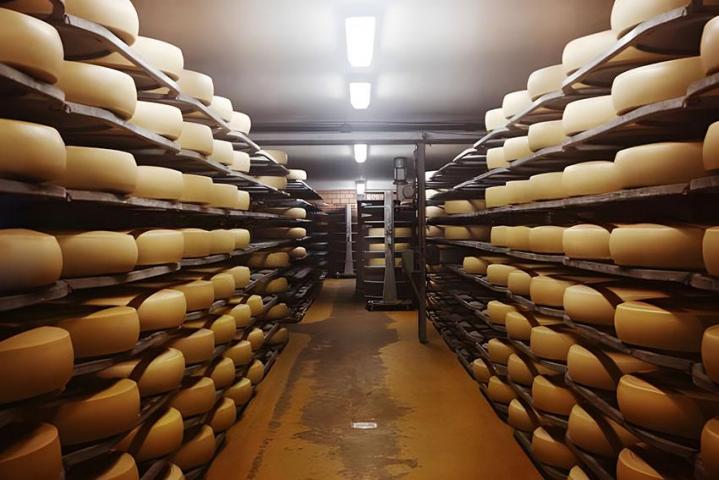 Production de fromage de chèvre Provence-Alpes-Côte d'Azur